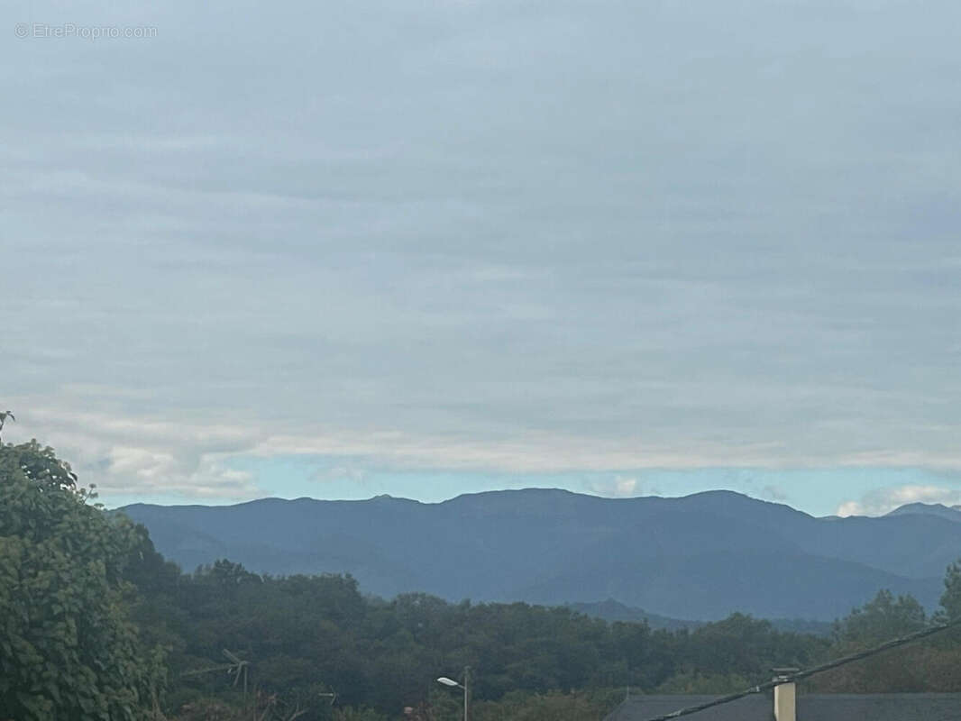 IMG_2888 - Maison à OLORON-SAINTE-MARIE