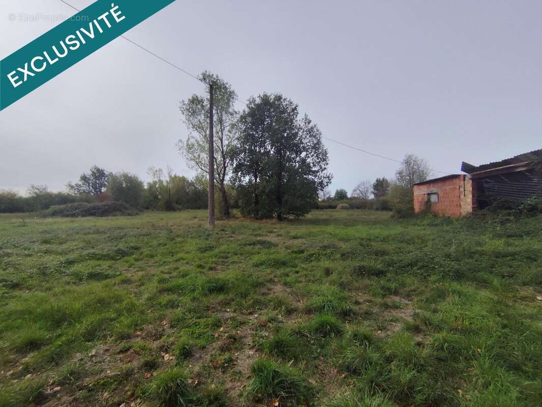 Photo 5 - Terrain à CASTELSARRASIN