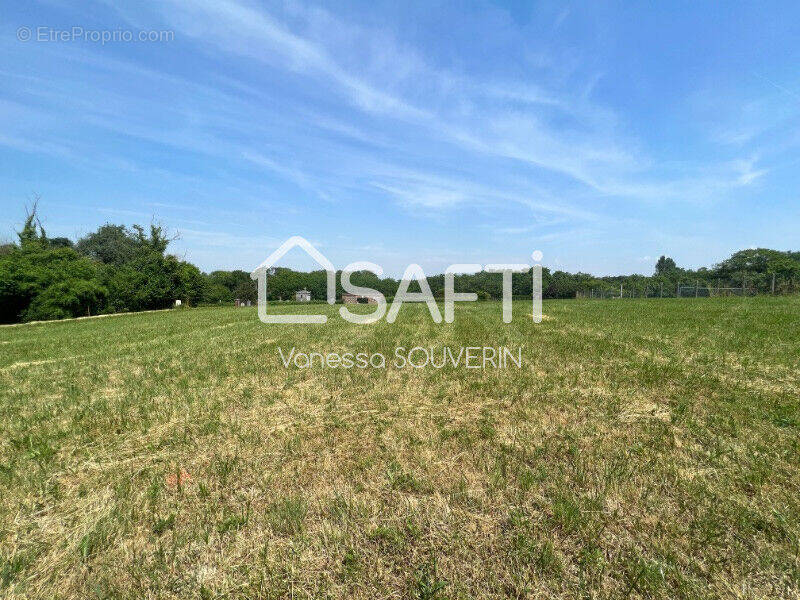Photo 1 - Terrain à THORIGNY-SUR-OREUSE