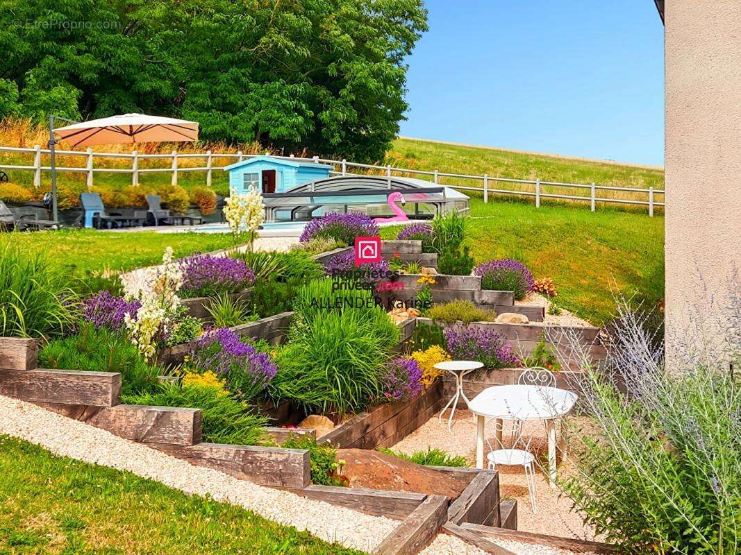 Maison à VILLENEUVE-SUR-YONNE