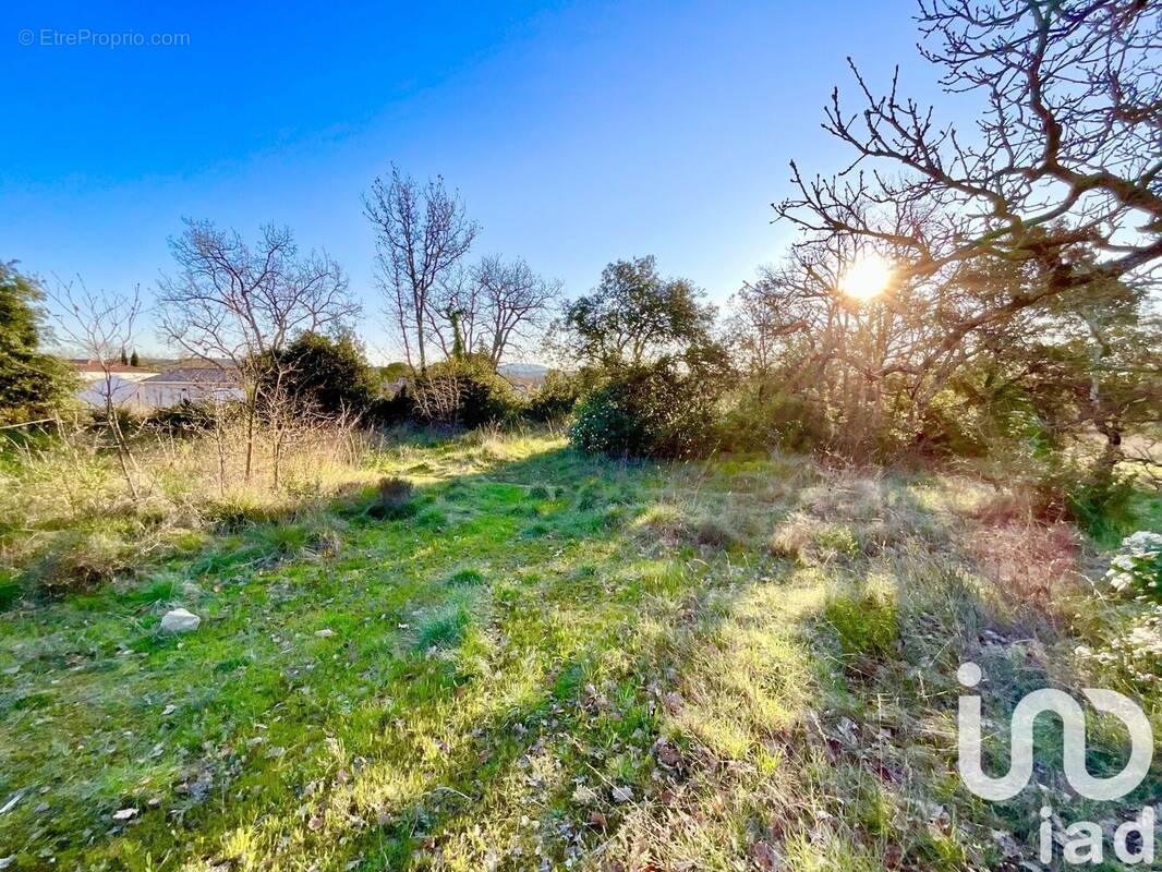 Photo 1 - Terrain à DEAUX