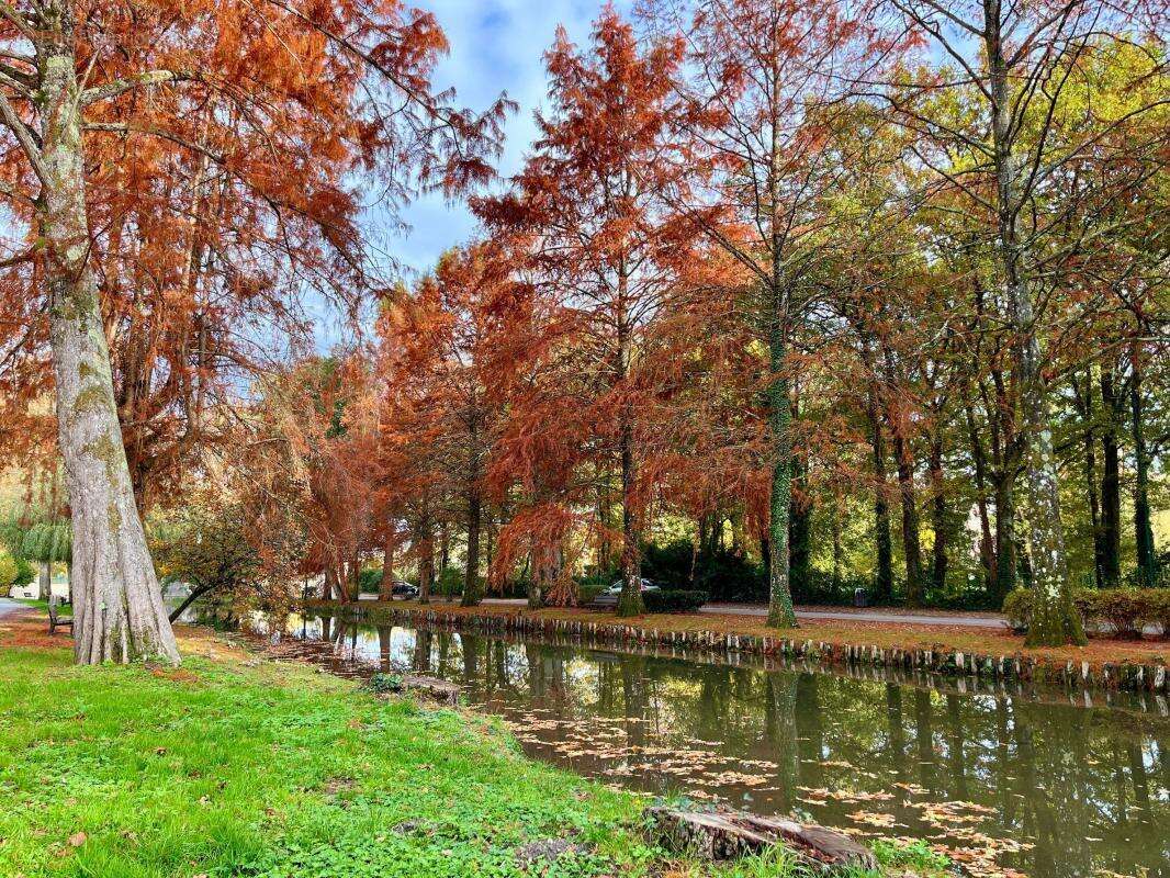 Appartement à LA FERTE-SAINT-AUBIN