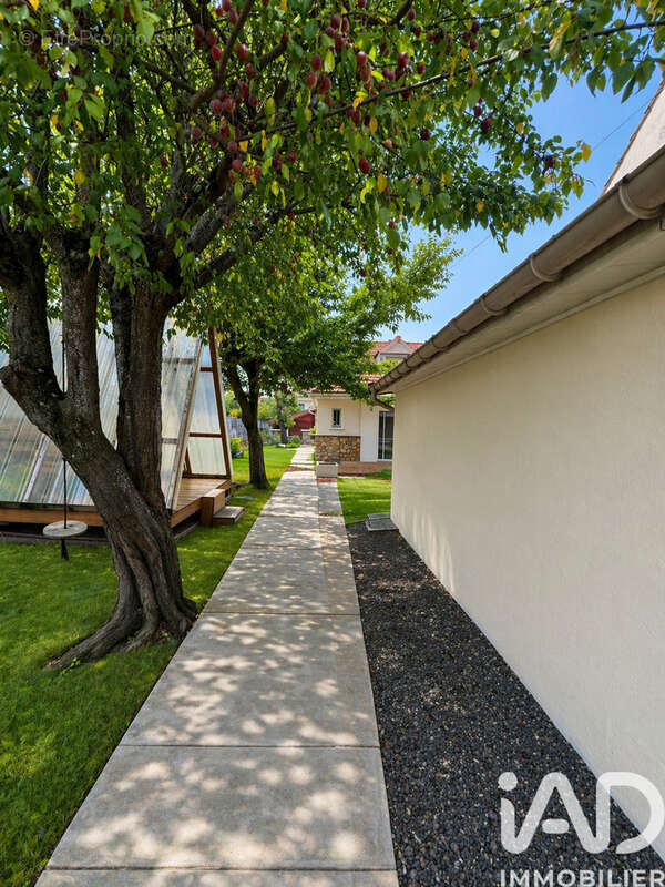 Photo 6 - Maison à MORSANG-SUR-ORGE