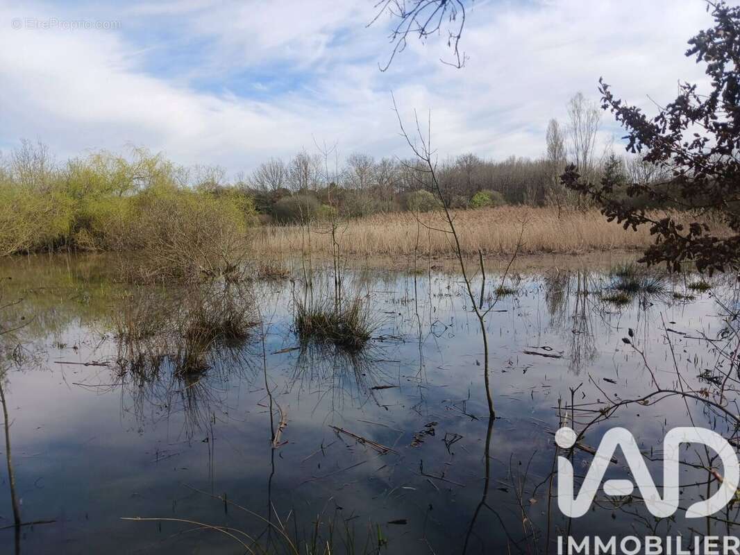 Photo 4 - Terrain à USSON-DU-POITOU