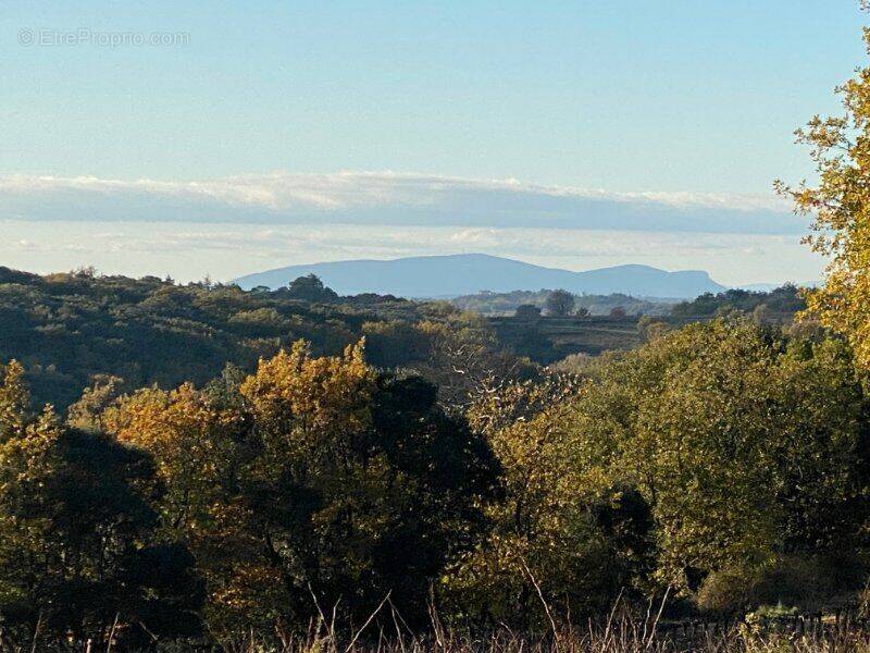 Photo 1 - Terrain à LE PIN