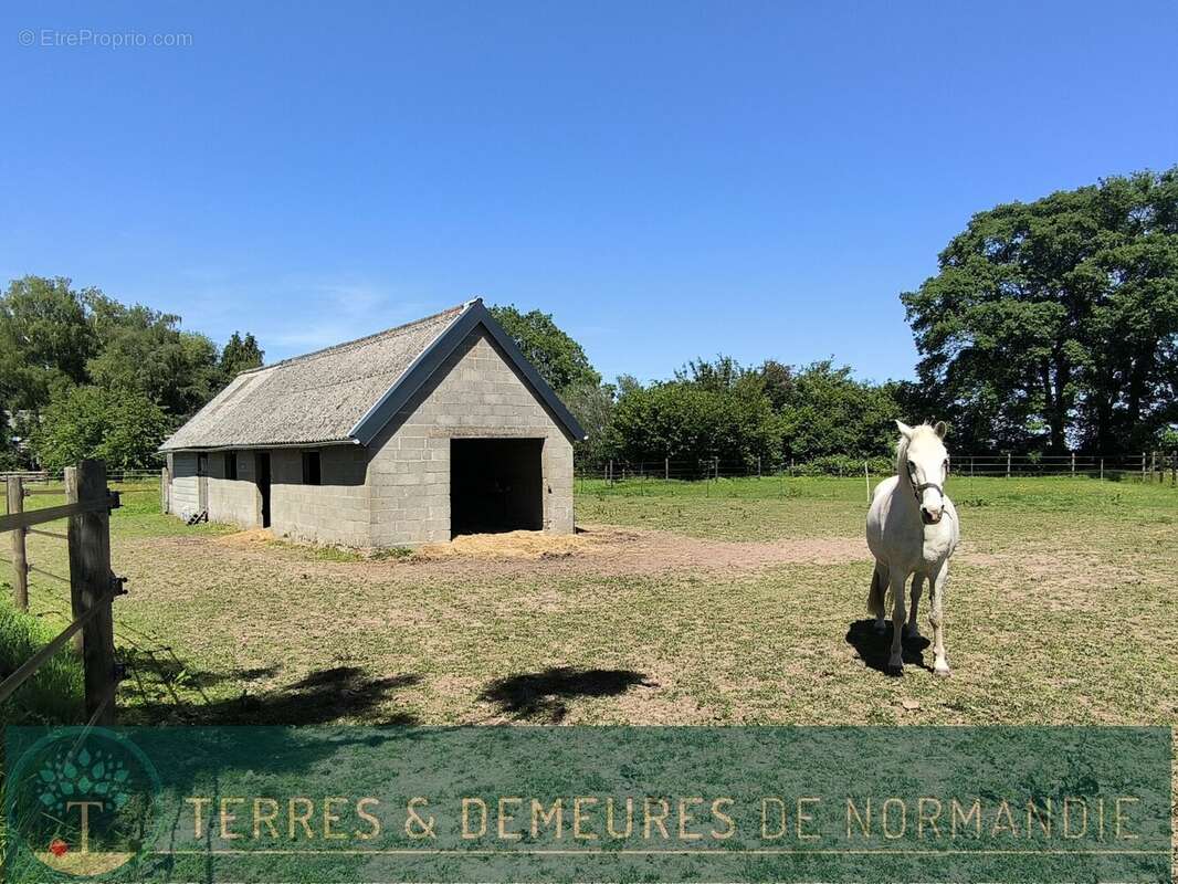CORMEILLES (27260), Belle Propriété avec Dépendances sur 8 hectares. - photo 20