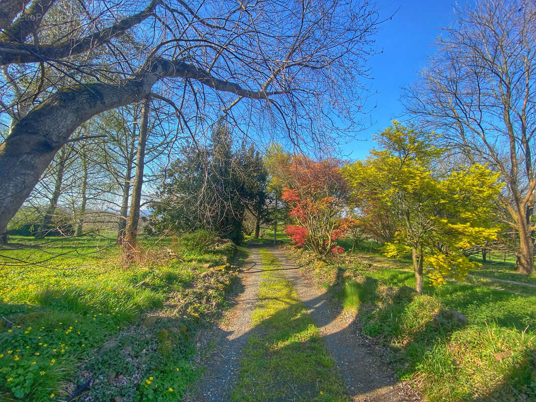 Maison à SAINT-JEAN-PIED-DE-PORT