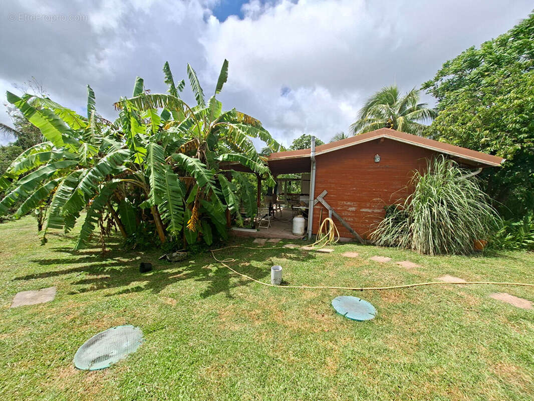 Maison à RIVIERE-PILOTE