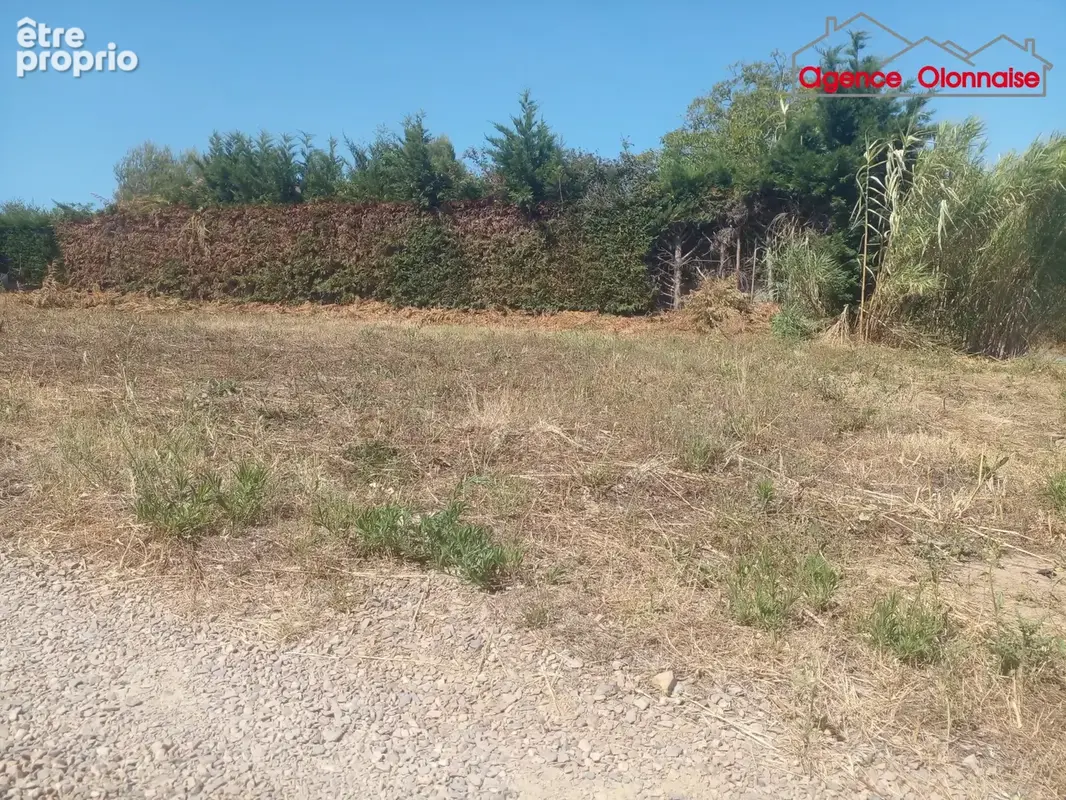 Terrain 342 m² à vendre à L'ile-D'olonne (85340) - photo 2