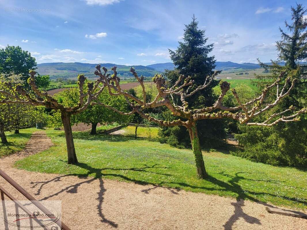 Maison à CHEVAGNY-LES-CHEVRIERES