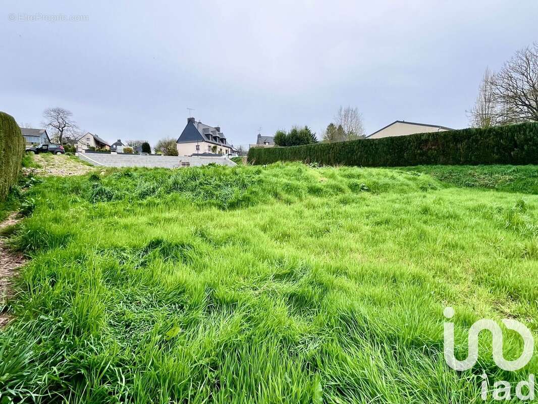 Photo 3 - Terrain à TREVE