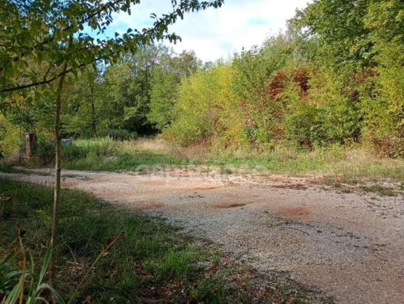 Terrain à vendre de 1 935,00 m² SAINTE CECILE D'ANDORGE (30) - photo 3