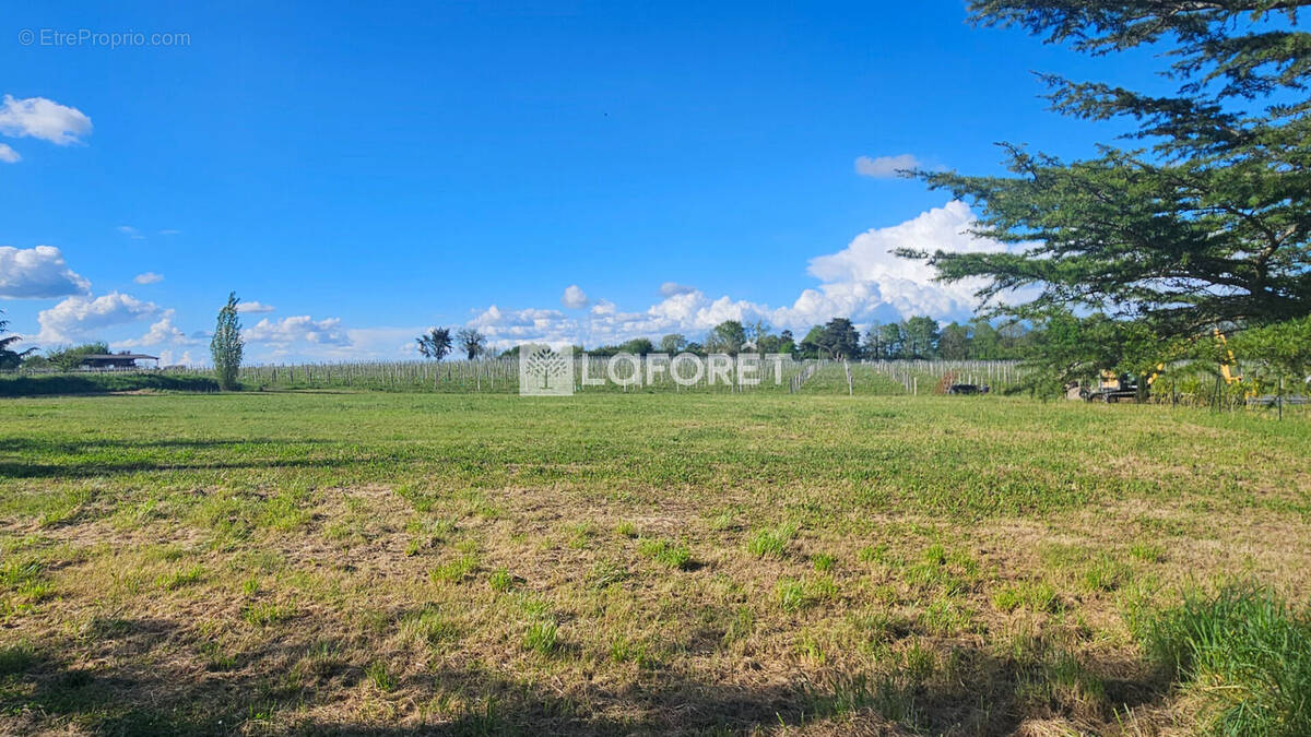 Terrain à EAUZE