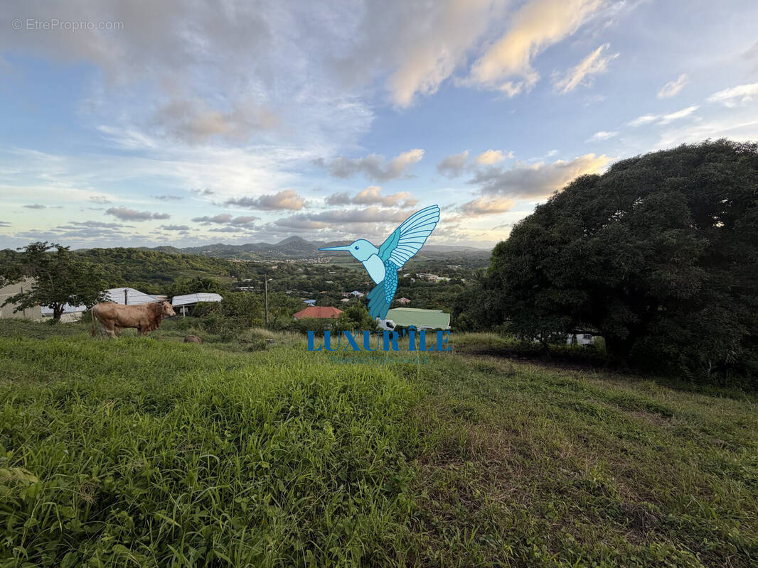 Terrain à LE FRANCOIS