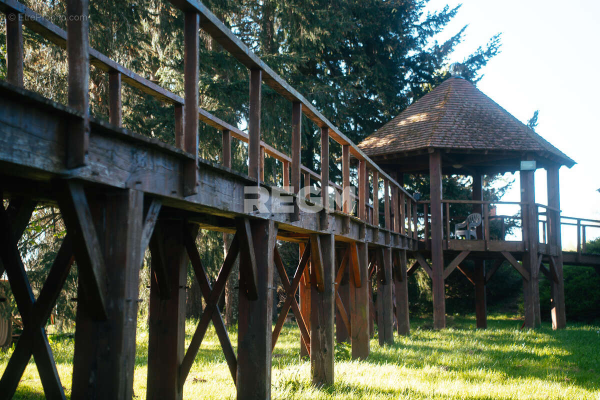 Domaine d’exception de 54,5 hectares avec maison de 300 m2, étang privé, piscine et 1 500 m2 de dépendances - photo 6