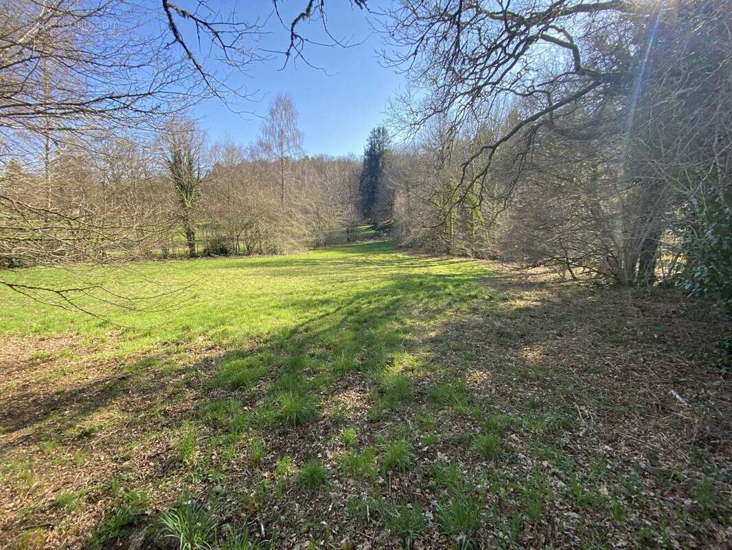 Maison à PEYRAT-LE-CHATEAU