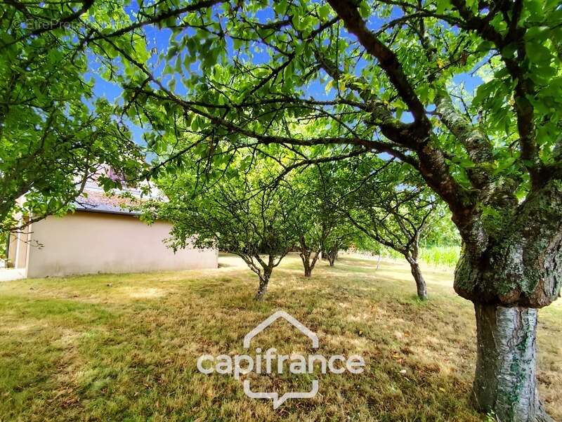 Maison à vendre 6 pièces COGNERS (72) - terrain 2315 m² - - photo 14