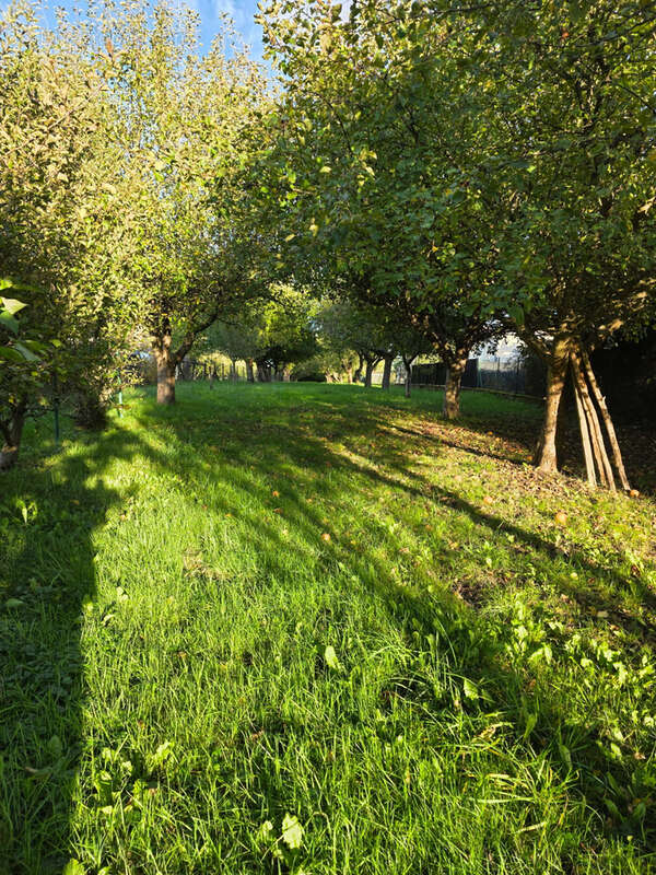 Terrain à MONT-SUR-MEURTHE