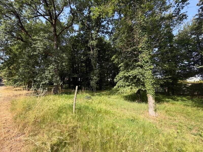 Dpt Maine et Loire (49), à vendre BAUGE terrain - photo 5