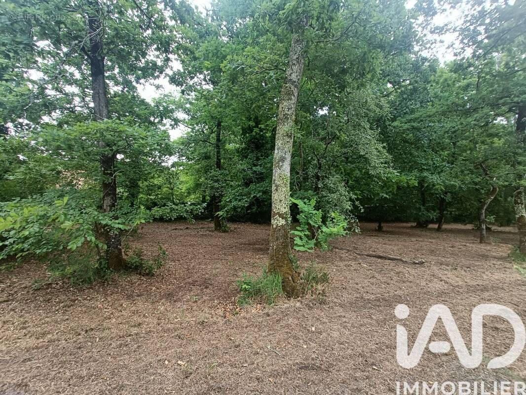 Photo 1 - Terrain à LE PIAN-MEDOC