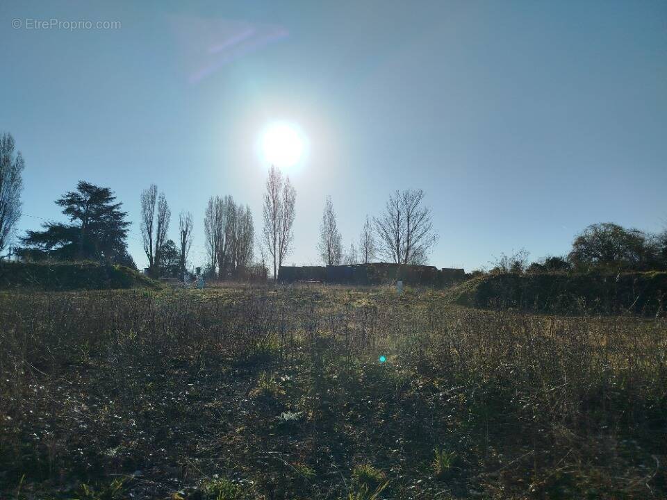 Terrain à MEZIERES-EN-DROUAIS