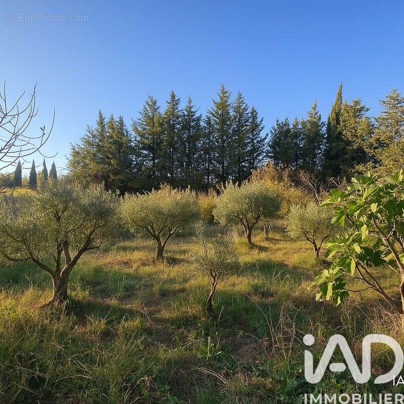 Photo 4 - Terrain à QUARANTE