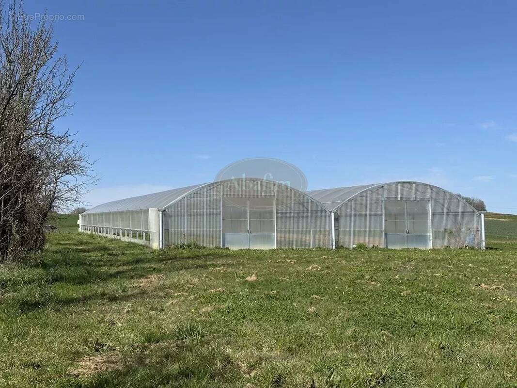 Commerce à PUYDARRIEUX