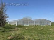 Commerce à PUYDARRIEUX