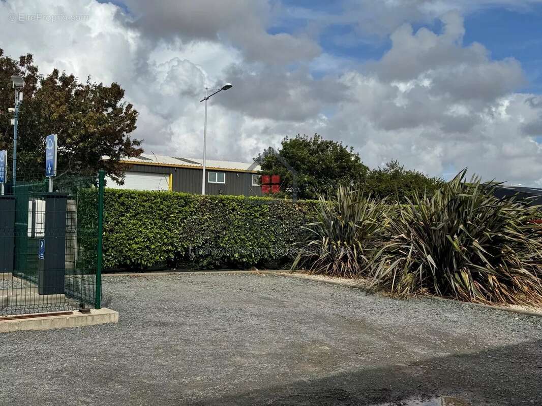 Commerce à SAINT-MEDARD-D'AUNIS