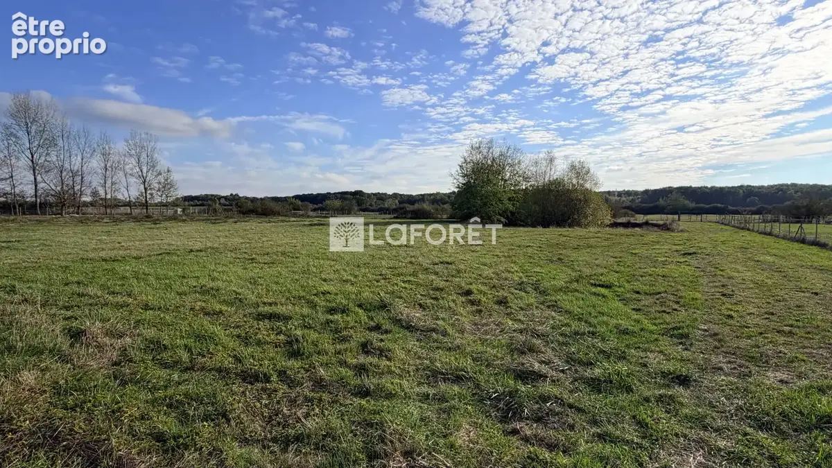 Terrain Villers En Argonne 7350 m2 - photo 3