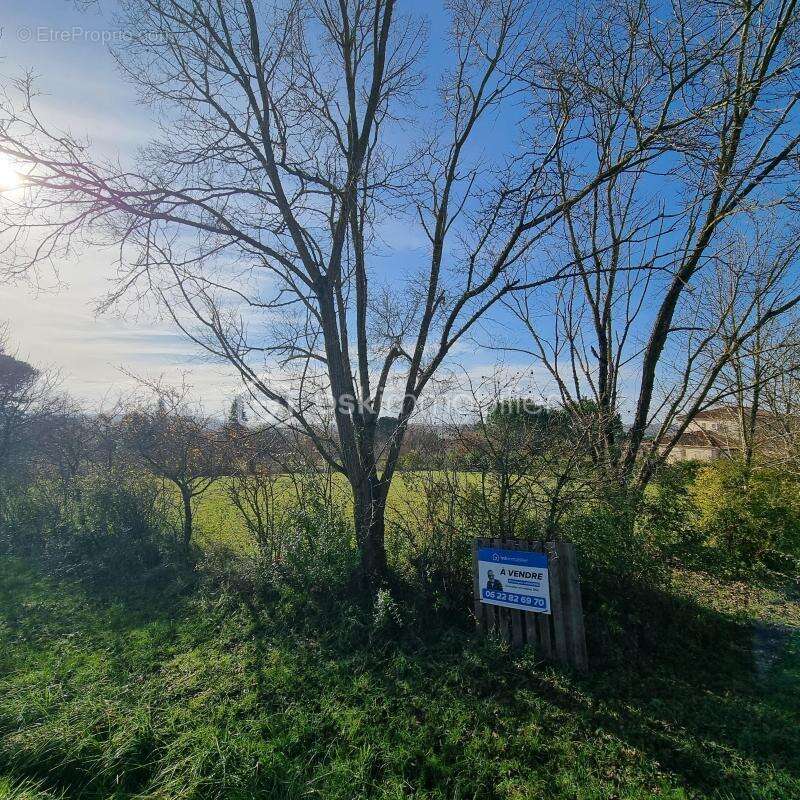 Terrain à SAINT-PUY