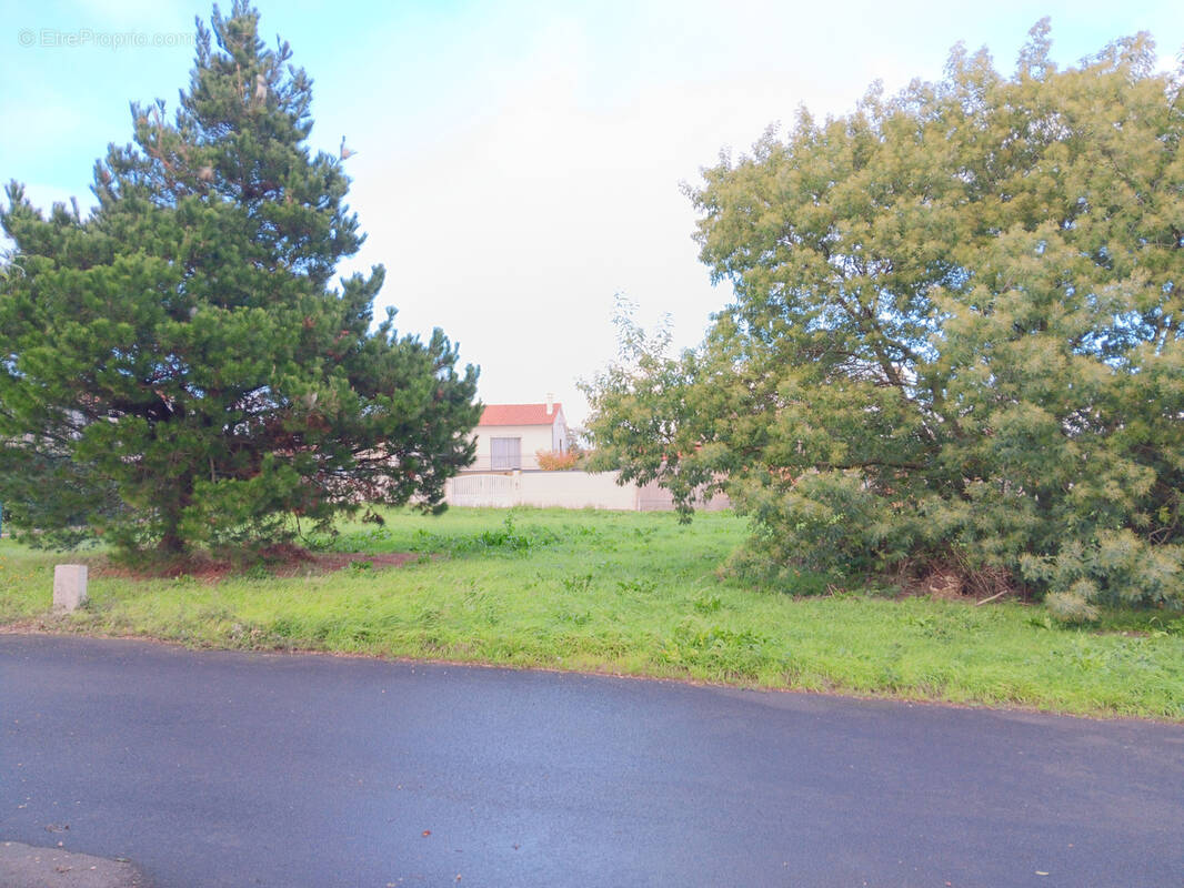 Terrain à SAINT-MICHEL-EN-L&#039;HERM