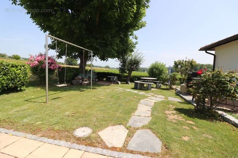 Au milieu des champs - photo 20