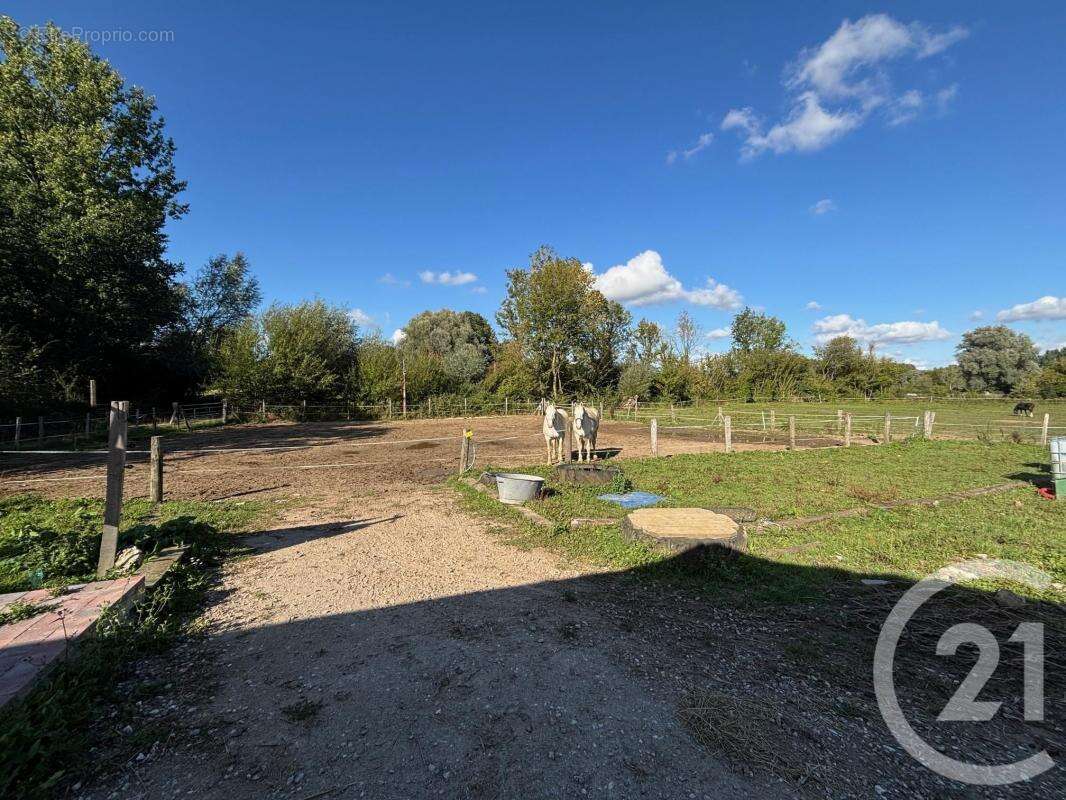 Maison à WICQUINGHEM