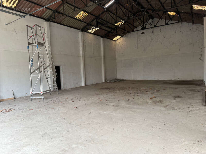 Commerce à PEYREHORADE