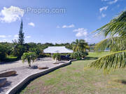 Maison à SAINT-MARTIN