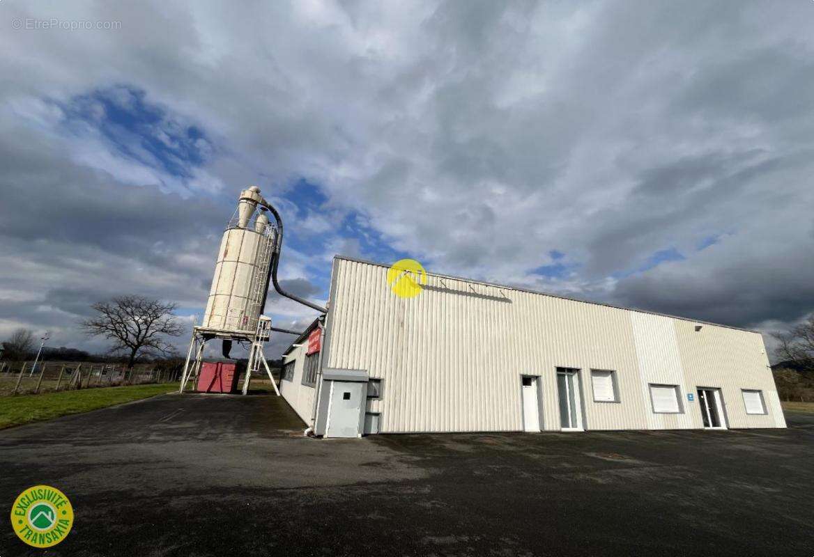 Commerce à PUY-GUILLAUME