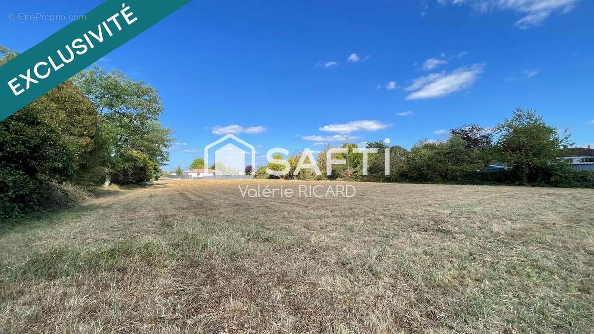 Terrain 3810 m² à Negrepelisse  - photo 2