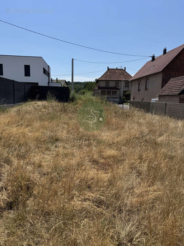 terrain en seconde ligne  - Terrain à GUMBRECHTSHOFFEN