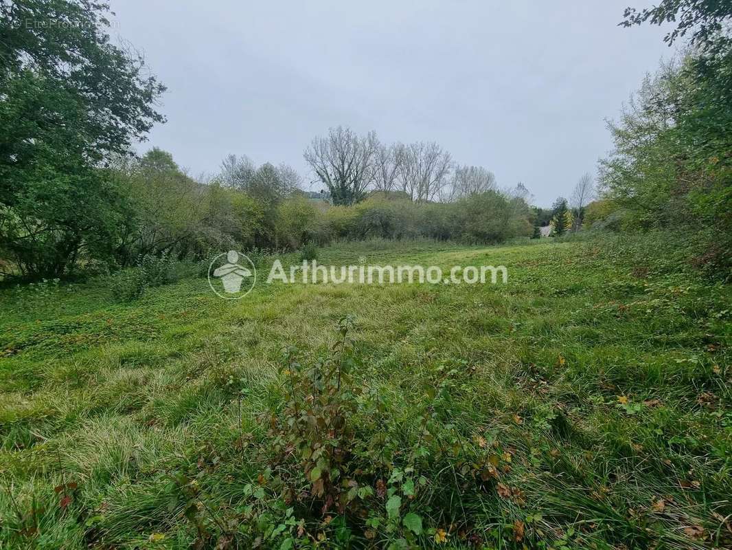Terrain à SAINT-ASTIER