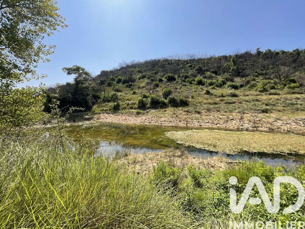 Terrain 321615 m² à Aumelas  - photo 4