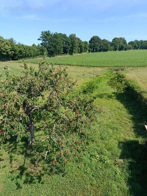 Maison à SAINT-GEORGES-DES-GROSEILLERS