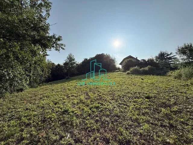 Terrain à LES MOLLETTES