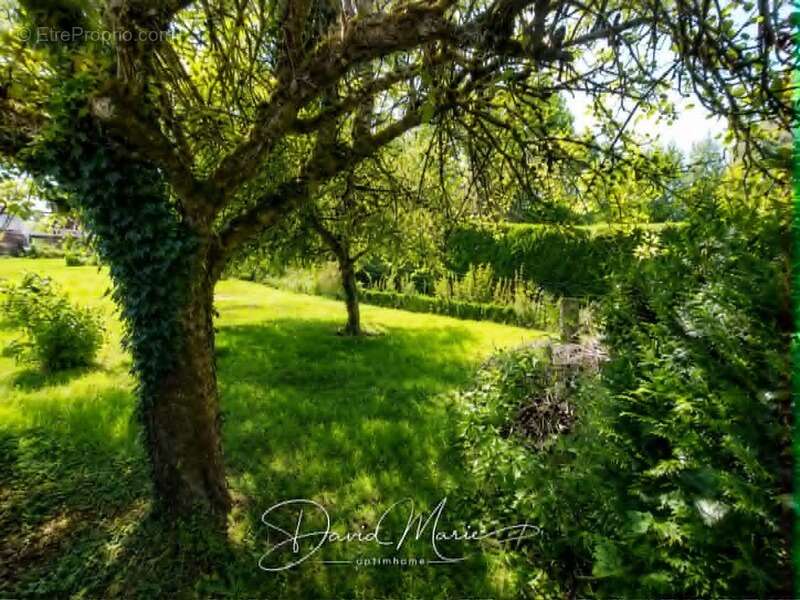 Maison à vendre 3 pièces  (14) - photo 24
