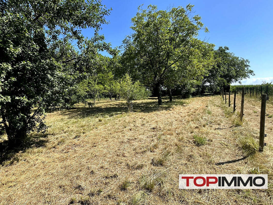 Maison à WIDENSOLEN