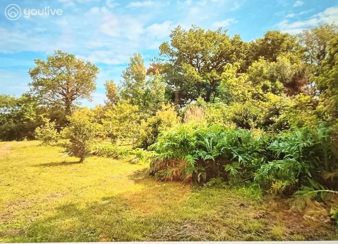 Terrain à GROSBREUIL