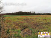 Terrain à LA SELLE-SUR-LE-BIED