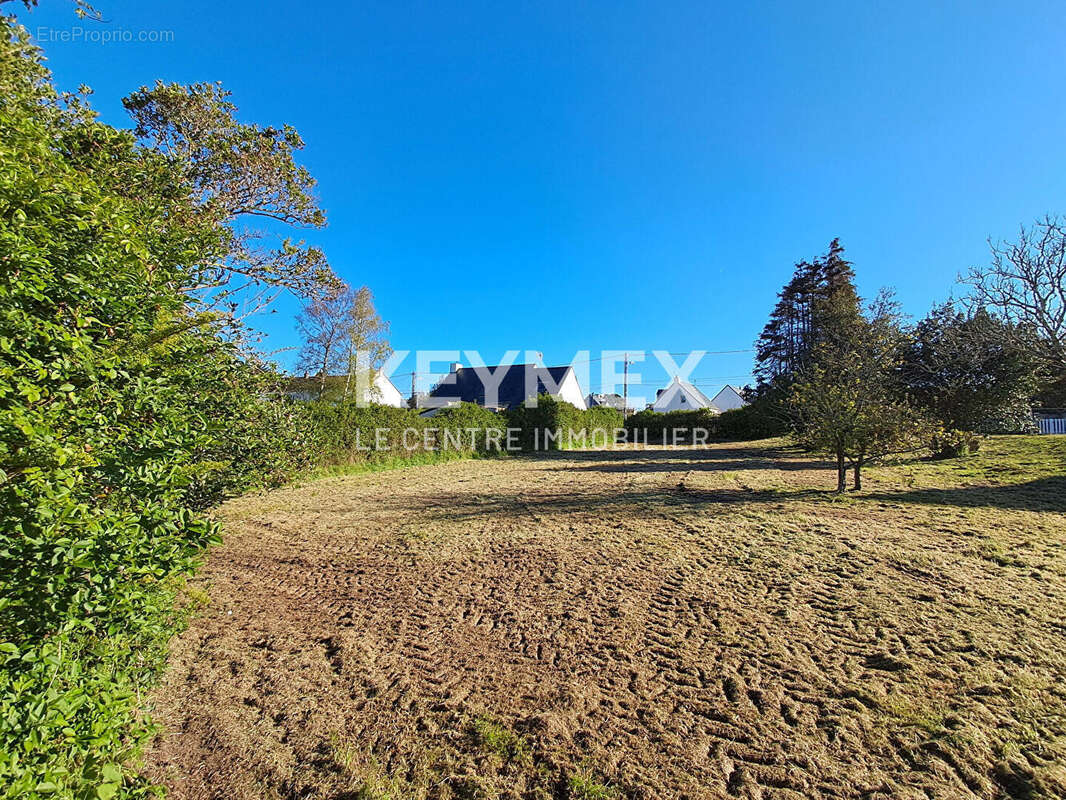 Terrain à LA TURBALLE