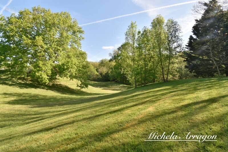 Dpt Lot et Garonne (47), à vendre PINEL HAUTERIVE propriete P6 de 240 m² - Terrain de 21 912,00 m² - photo 19