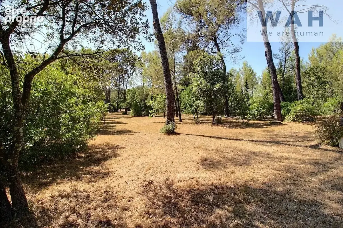 Terrain de loisirs - photo 3